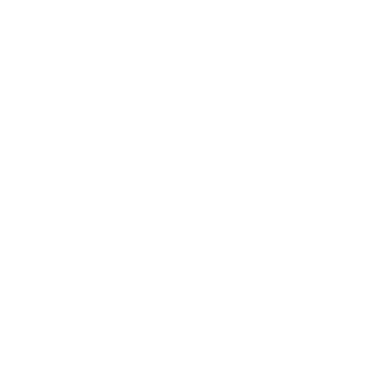 Venice Film Festival